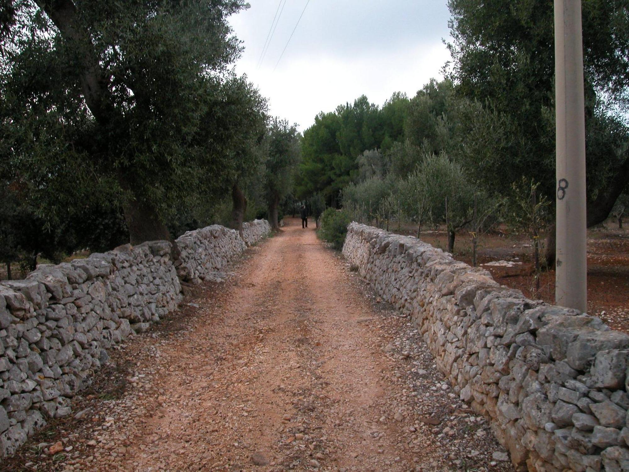 Masseria Trotta B&B Фазано Екстериор снимка